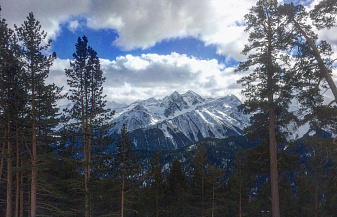 Мобильный Кавказ