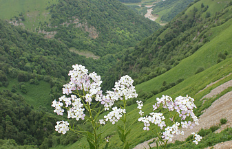 Магия Кавказа